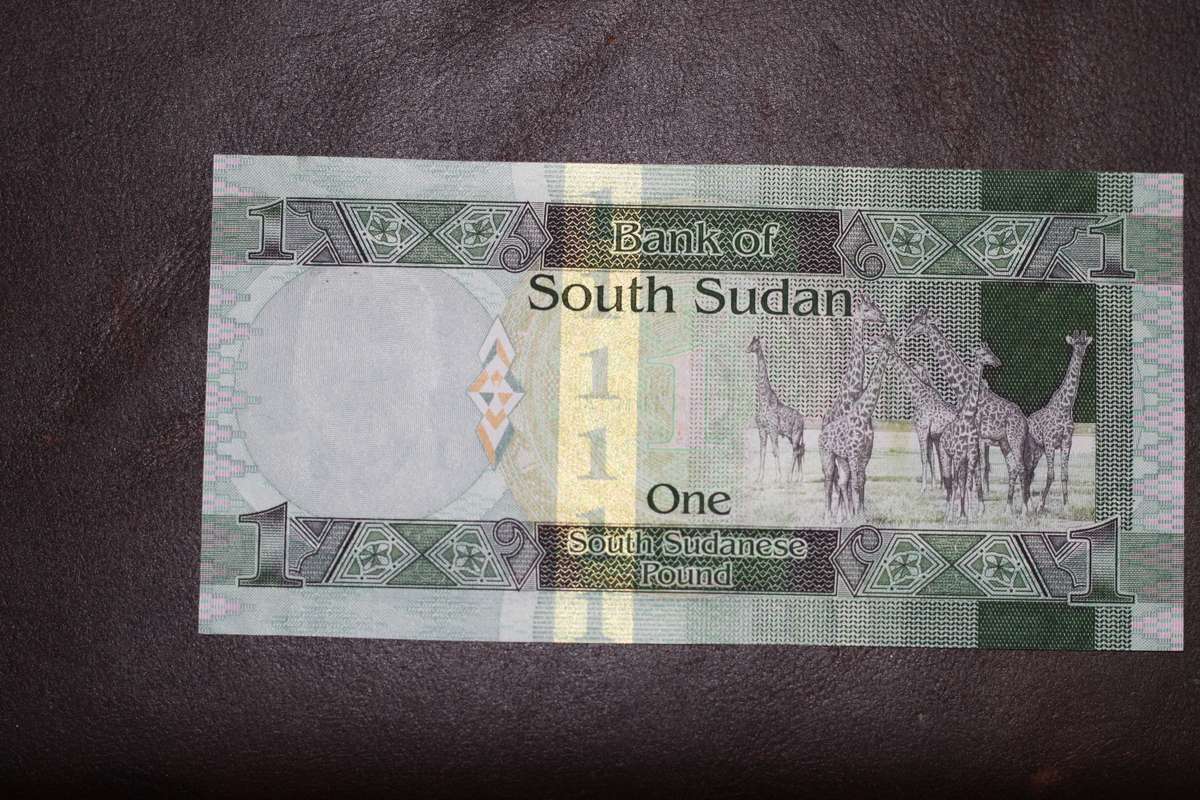 South Sudan *** 1 Pound *** Seldom offered