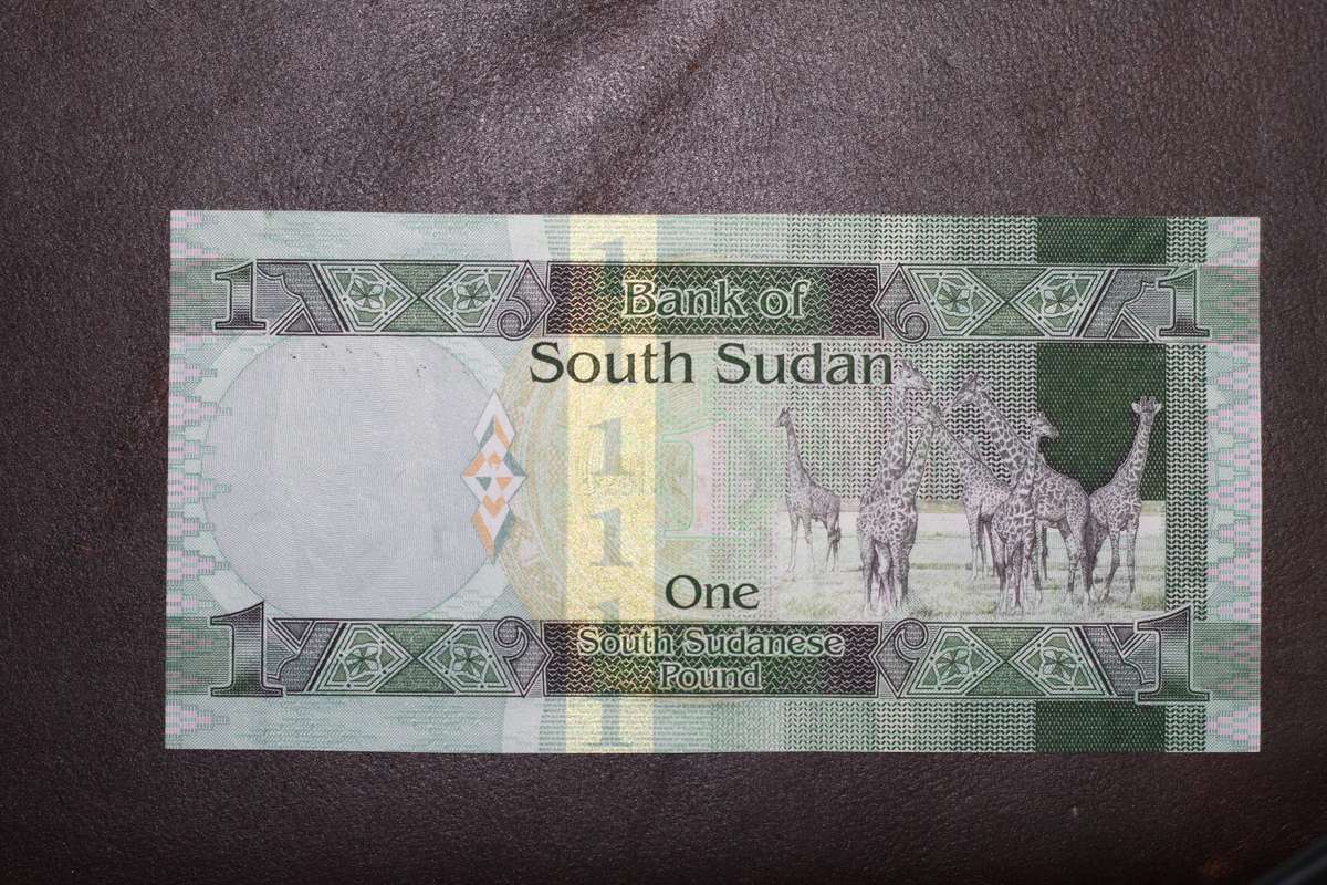 South Sudan *** 1 Pound *** Seldom offered
