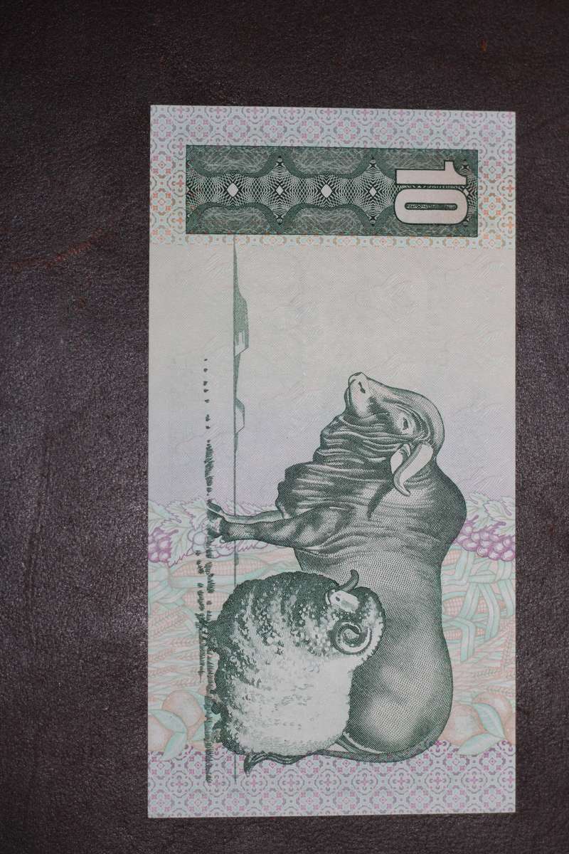 GPC de Kock 1981 First Issue *** R10 *** Top quality scarcer issue