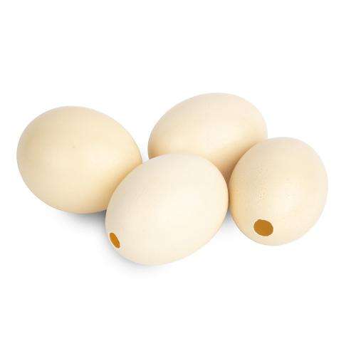 Premium Natural Empty Ostrich Eggs for Crafts & Display
