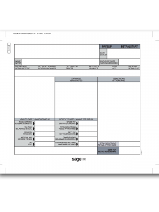 Duplicate Continuous Payslip P2 - 250 Sheets