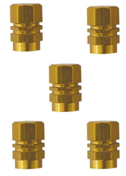 Valve Caps - Gold - 5 Piece