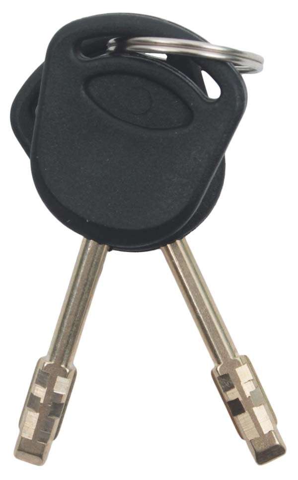 Fiesta / Ikon Ignition Barrel and Door Locks with Keys