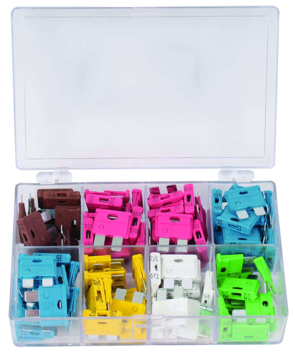 2 Pin Blade Fuse - Assorted - 100 Pieces Pack