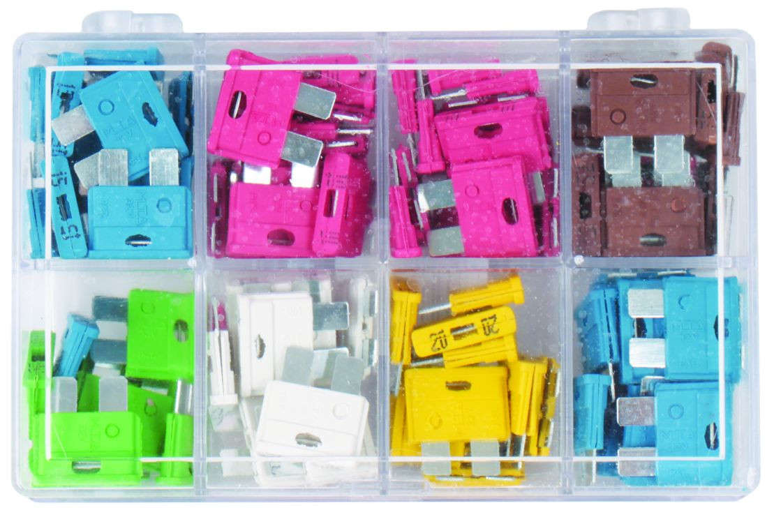 2 Pin Blade Fuse - Assorted - 100 Pieces Pack