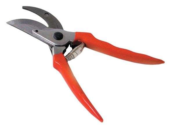 Pruning Shears - 8 Inch