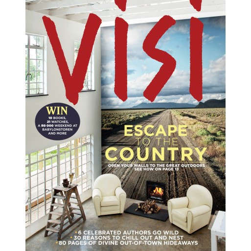 Visi Issue 67 Winter 2013