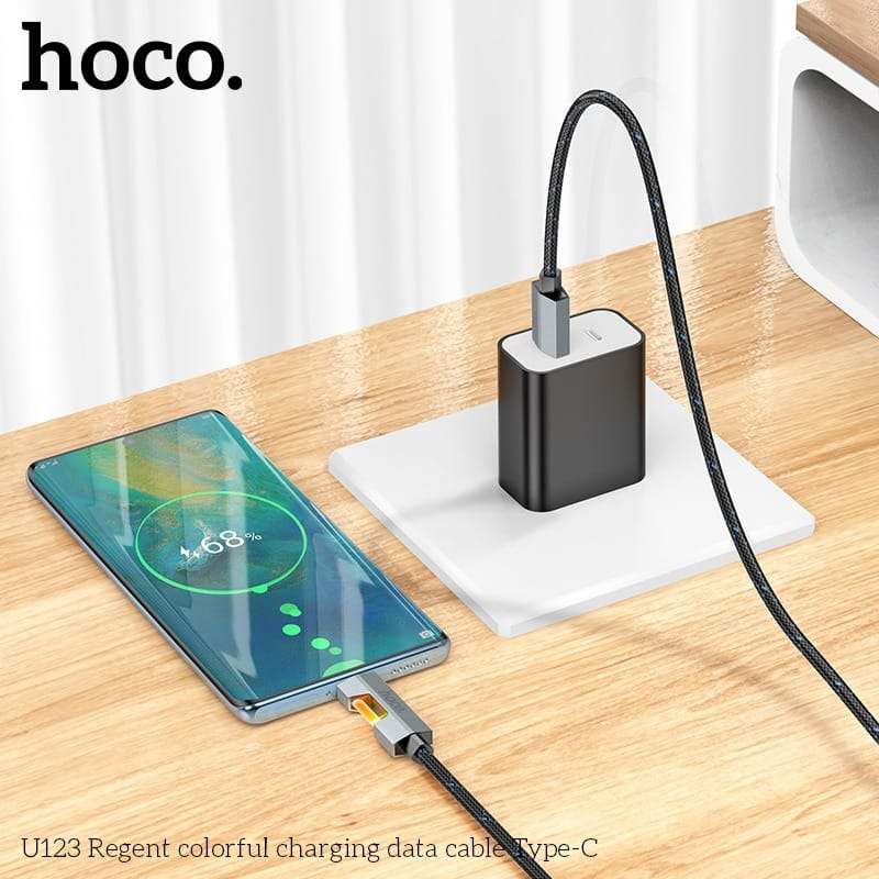Hoco U123 USB to Type C Charging Cable