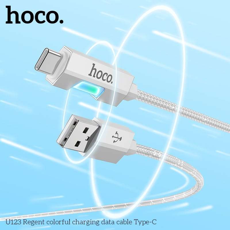 Hoco U123 USB to Type C Charging Cable