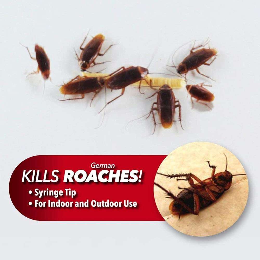 Roach Expert Doctor Cockroach Killing Gel 30g