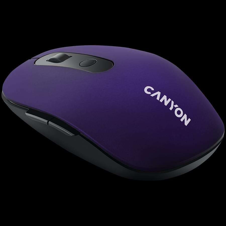 CANYON  Input Devices - Mouse Box CNS-CMSW09V