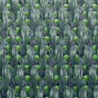 APPLE  Apple Watch MXEW3QA/A