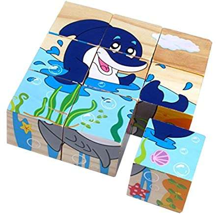 9 wooden block picture puzzle.