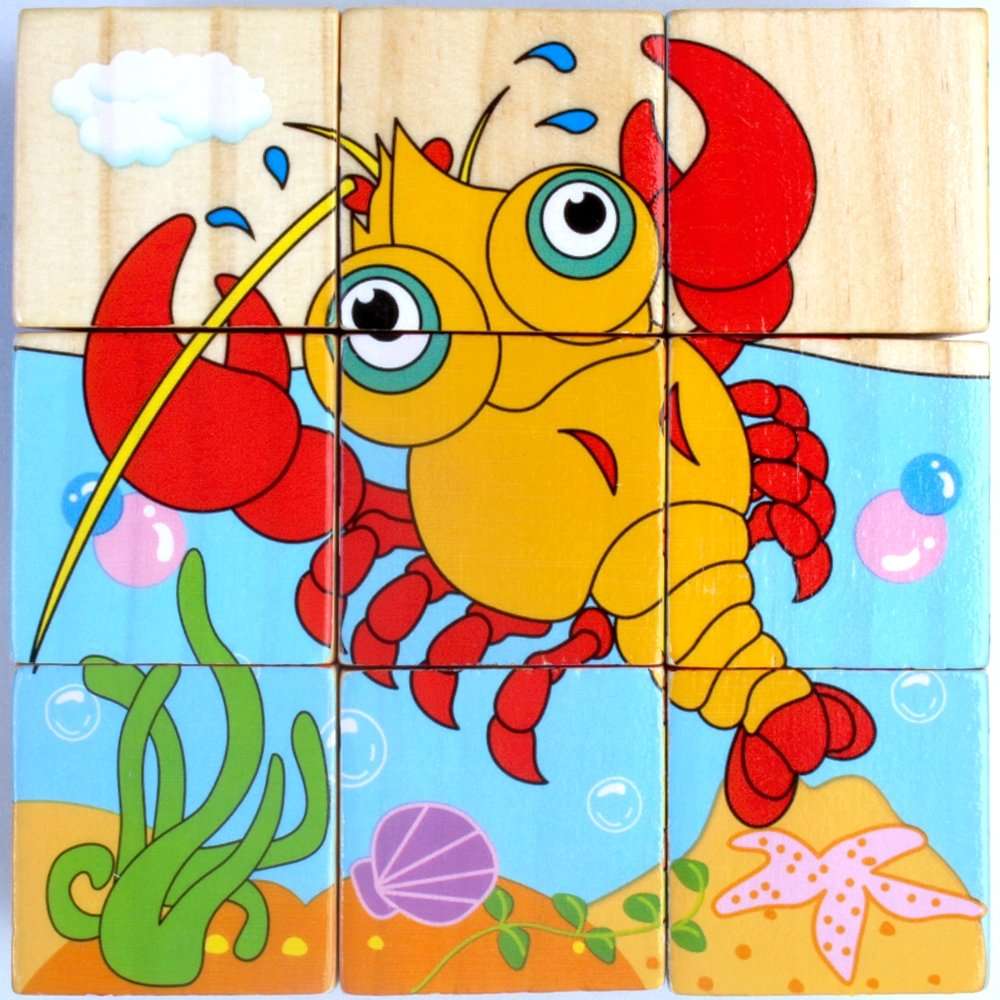 9 wooden block picture puzzle.