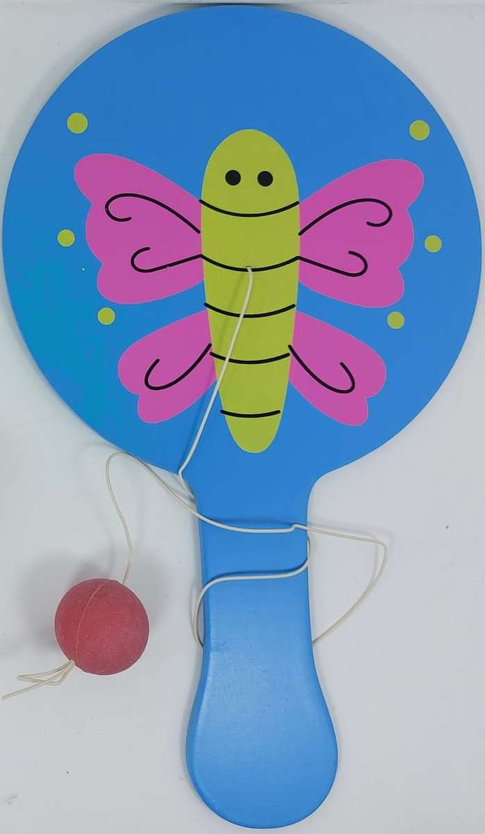 Ping Pong ball and bat set