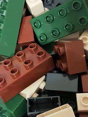 CAMO Colored Bag of Blocks