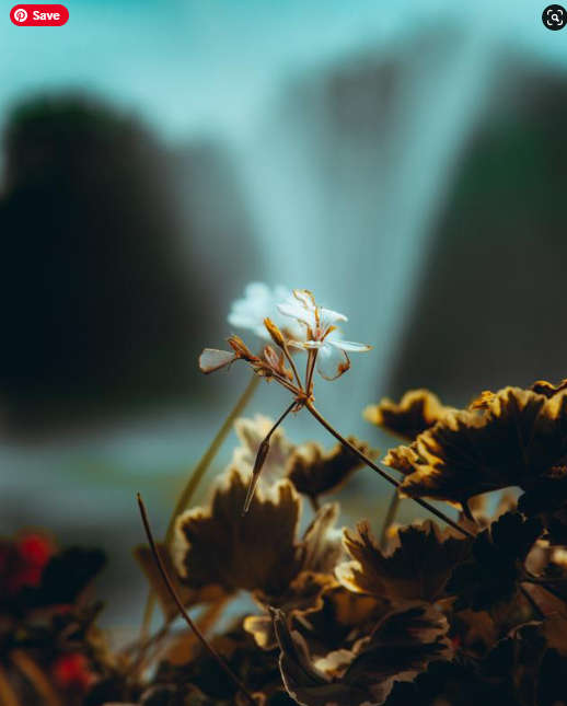 Viltrox AF 85mm f/1.8 FE II Lens for Sony E