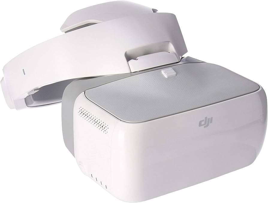 DJI Goggles