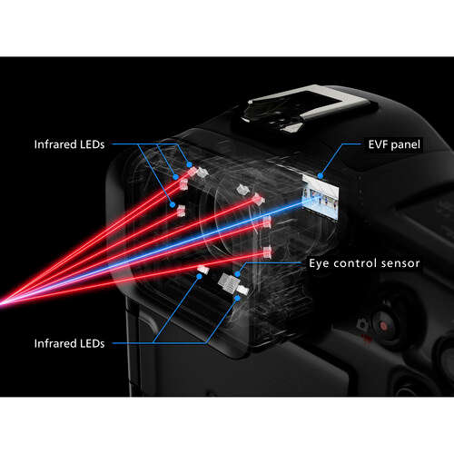 CANON EOS R1 MIRRORLESS Camera Body