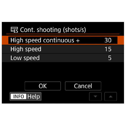 CANON EOS R1 MIRRORLESS Camera Body