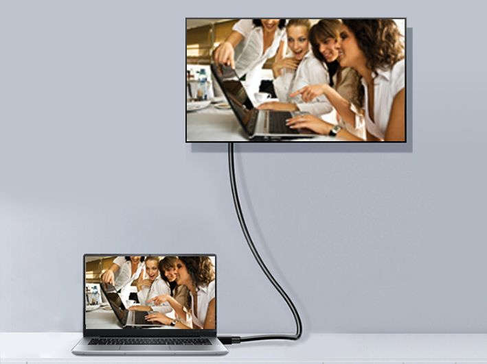 Equip Cable, Display Port 2M