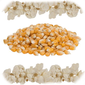 Butterfly Popcorn Kernels 25Kg