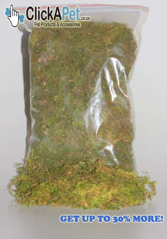 Green Moss - 1kg
