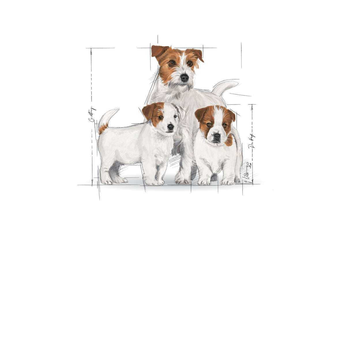 Mini Starter - 8.5kg