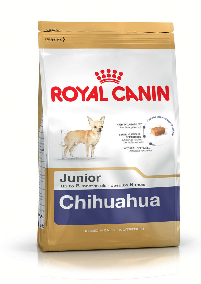Chihuahua Junior - 1.5kg