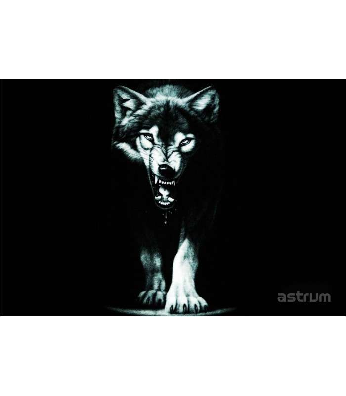 Astrum NB200 3D Vinyl Removable Laptop Skins for up to 15.6"