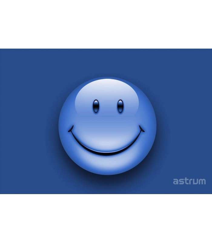 Astrum NB200 3D Vinyl Removable Laptop Skins for up to 15.6"