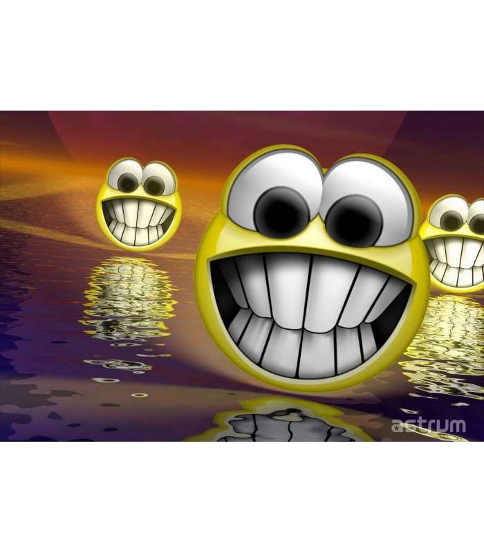 Astrum NB200 3D Vinyl Removable Laptop Skins for up to 15.6"