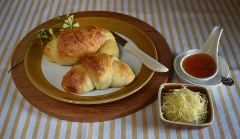 Art of Cooking,The Ultimate South African Cookbook by Carolie de Koster