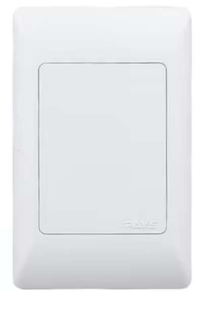 Noble Pays 4x2 Blank Cover Plate