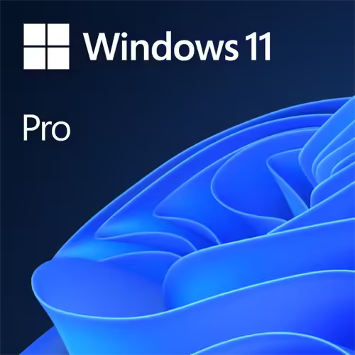 Microsoft windows 11 license DVD Single User