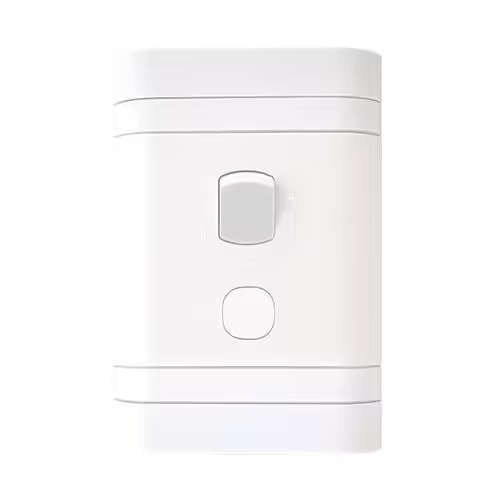 Lesco 2 Pole Flush Isolator Switch with Rectangle