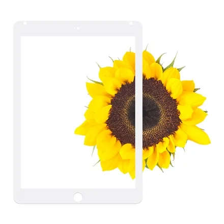 Moshi iVisor Glass for iPad Air 2 - White