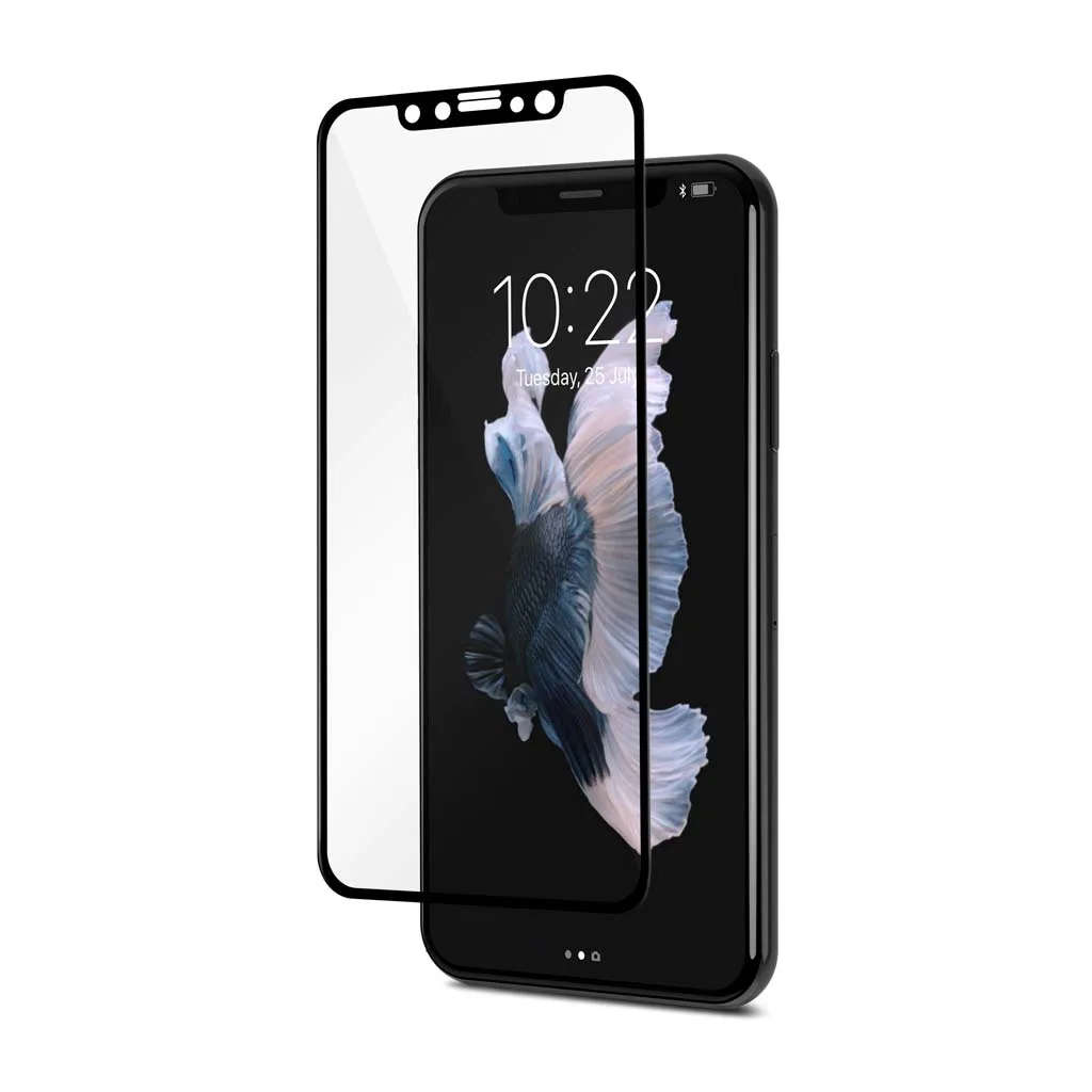Moshi IonGlass for iPhone Xs, X - Black