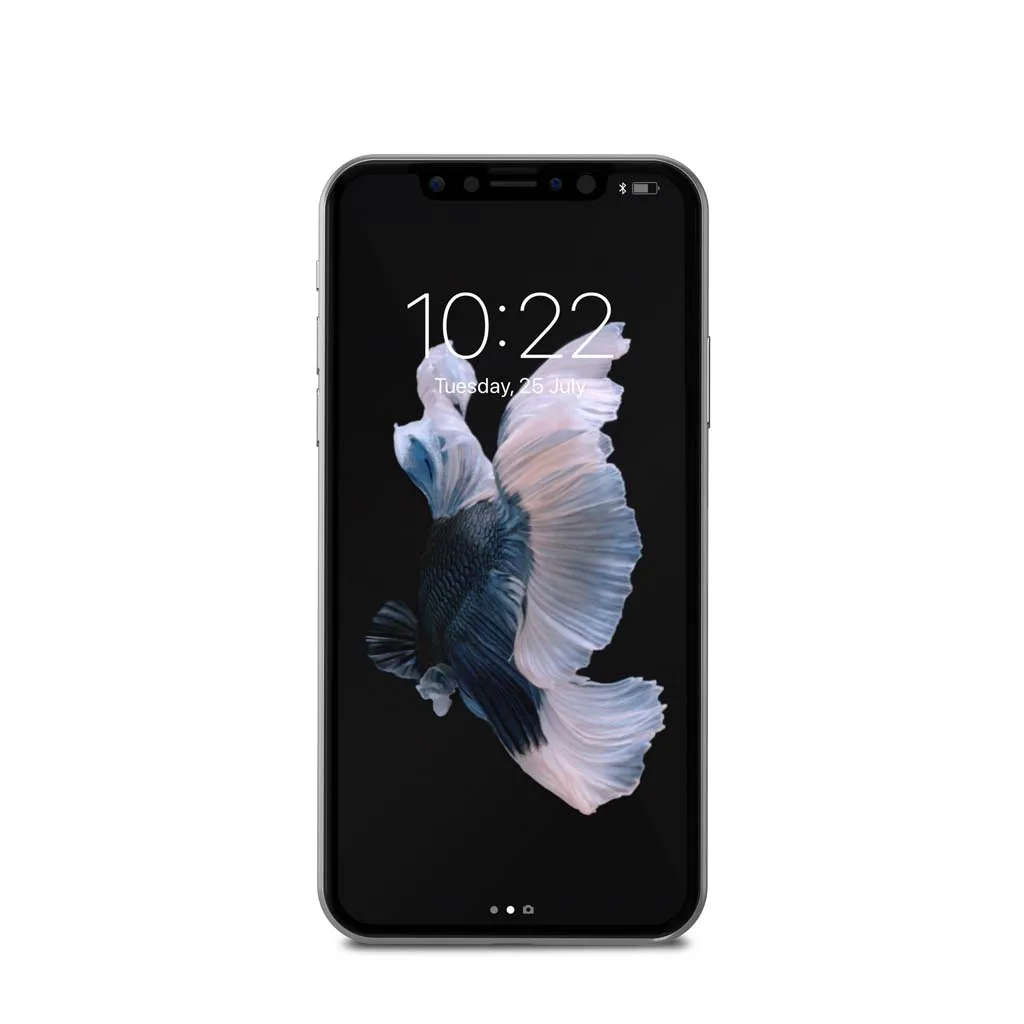 Moshi IonGlass for iPhone Xs, X - Black