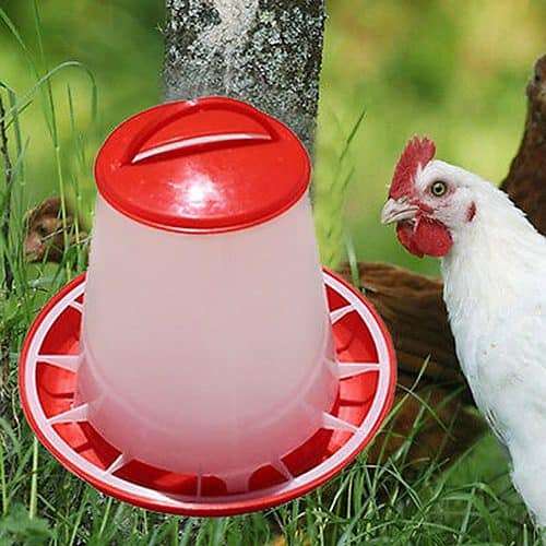 Chicken Feeders Plastic