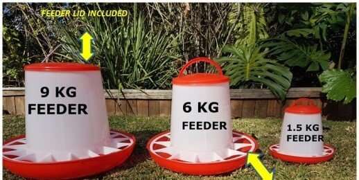 Chicken Feeders Plastic