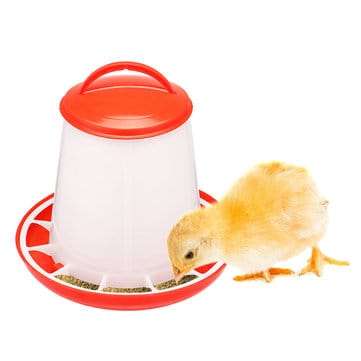 Chicken Feeders Plastic