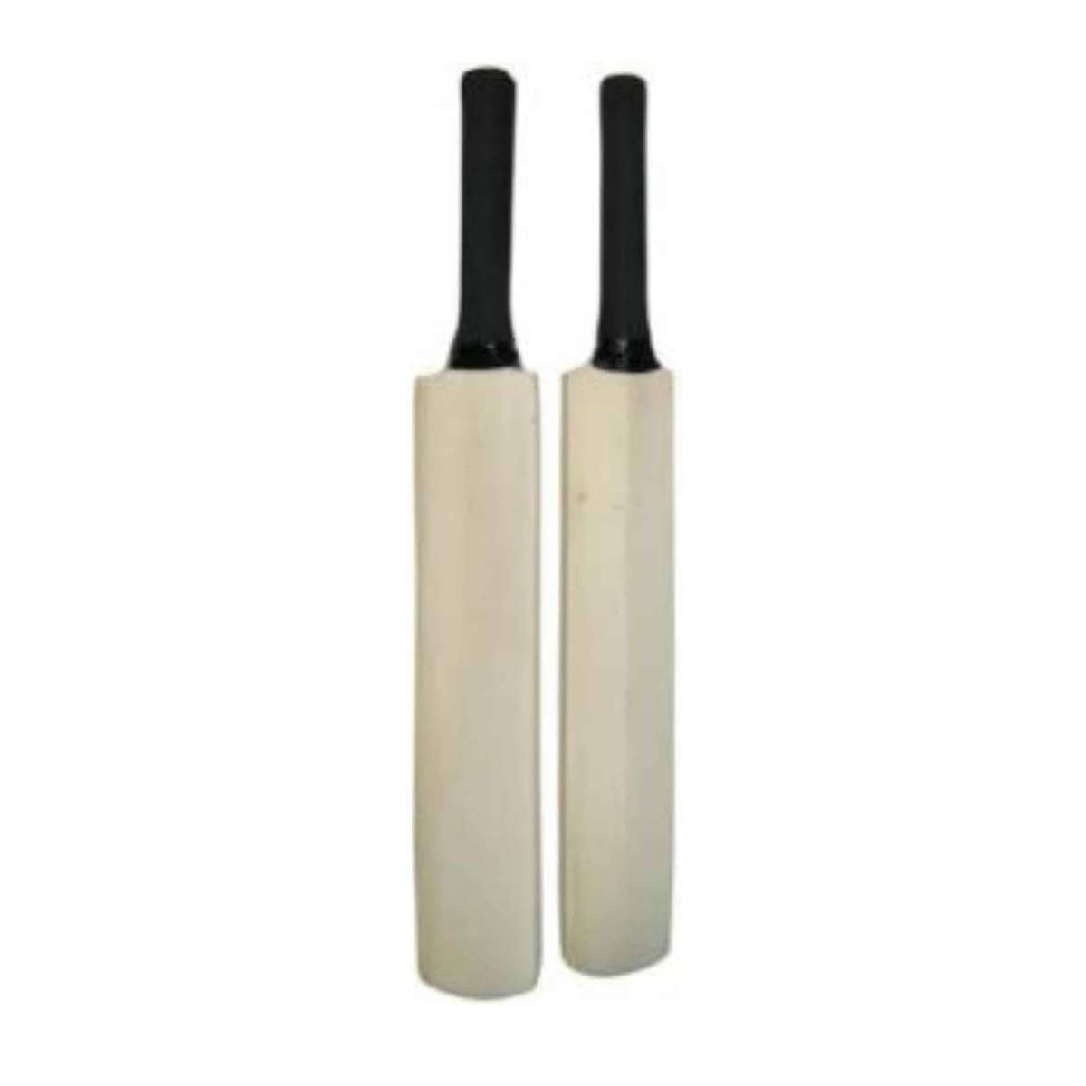 Cricket Bat Autograph 15inch