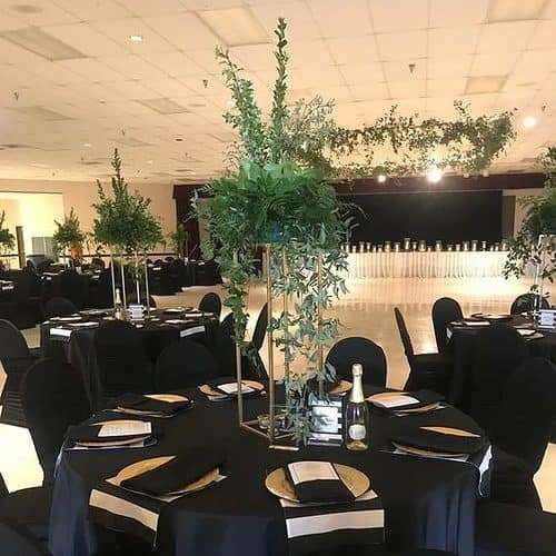Standard Black Chair covers 6pc