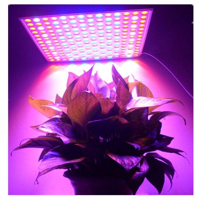 LED Grow Light 45W UV IR Growing Lamp for Indoor Plants Hydroponic Plant Grow Light