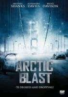 Arctic Blast (DVD)