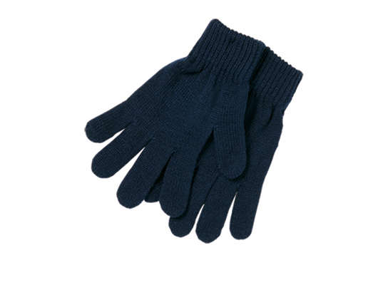 Aspen Gloves - navy