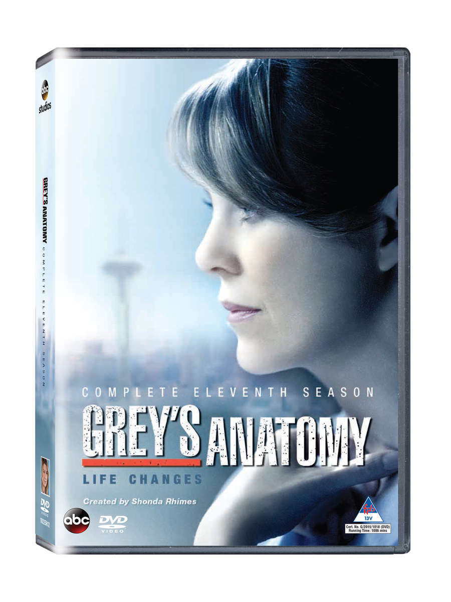 Greys Anatomy - Season 11 (DVD Box Set)