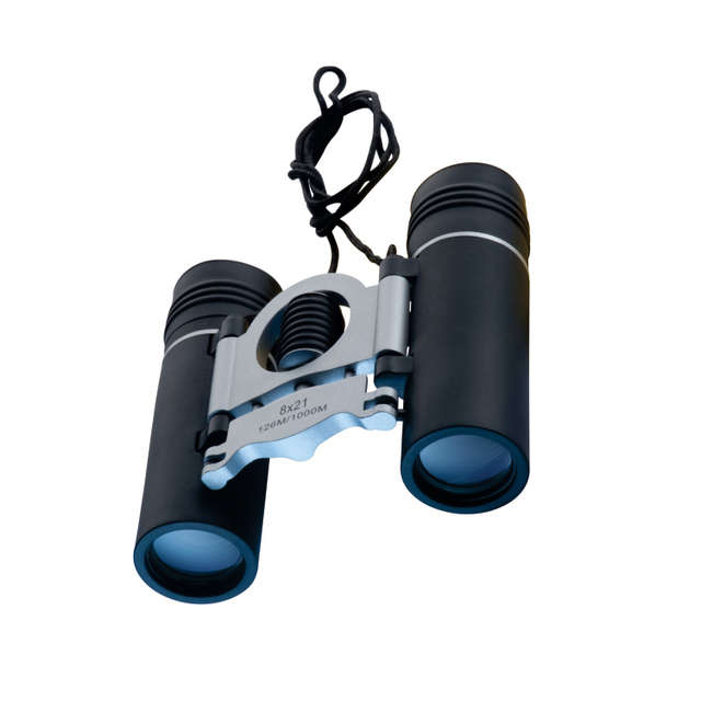 Metal Binoculars (58158)