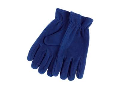 Blizzard Gloves - royal blue
